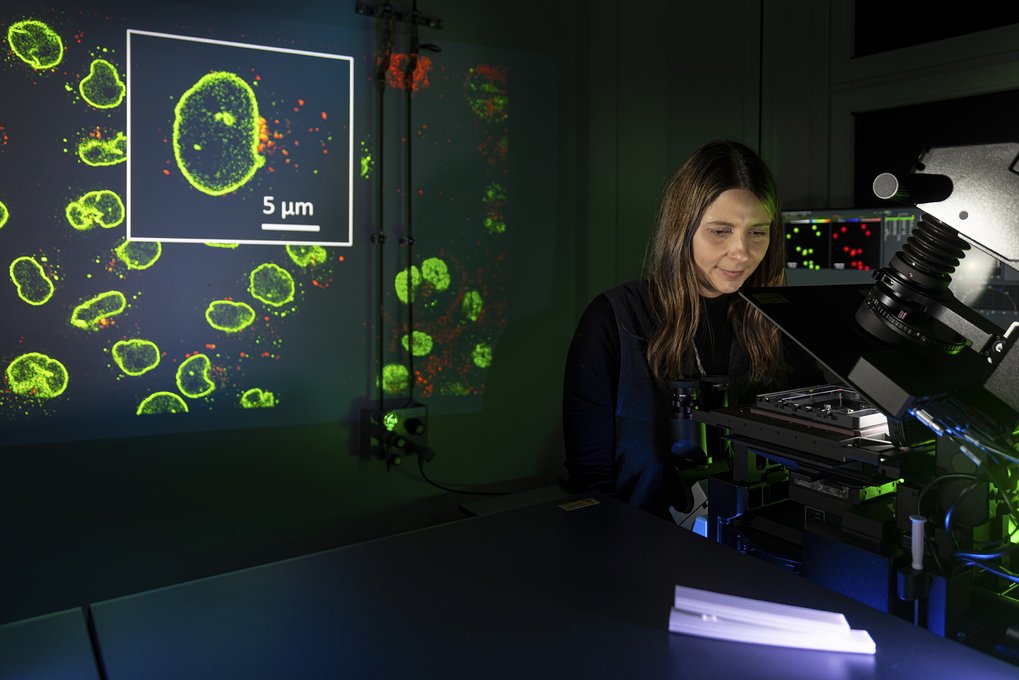 Viktorija Glembockyte - research