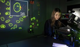 Viktorija Glembockyte - research